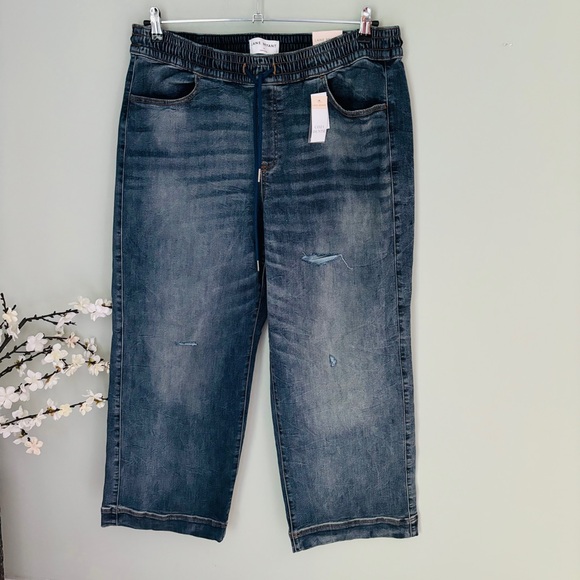 Lane Bryant Pull On High Rise Wide Leg Jean NWT Size 16 - Picture 3 of 6